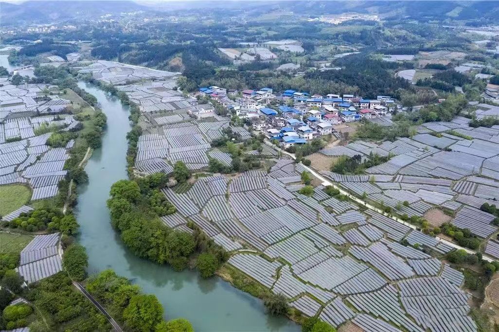 花橋村(廣西壯族自治區桂林市興安縣湘漓鎮下轄村) 花橋村(廣西壯族自治區桂林市興安縣湘漓鎮下轄村)