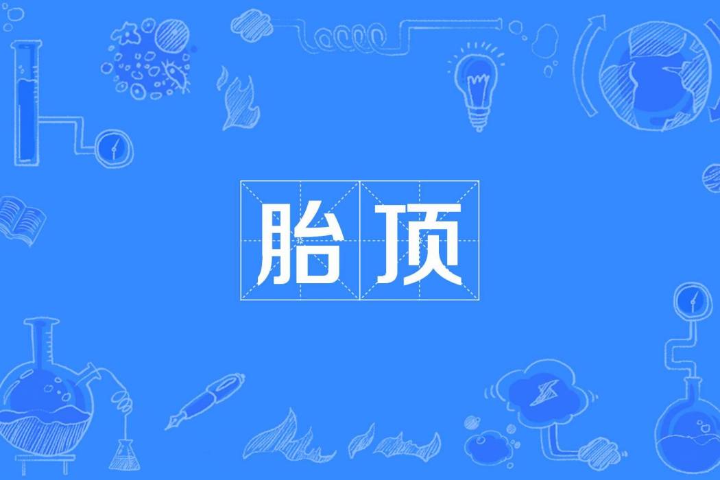 胎頂 胎頂
