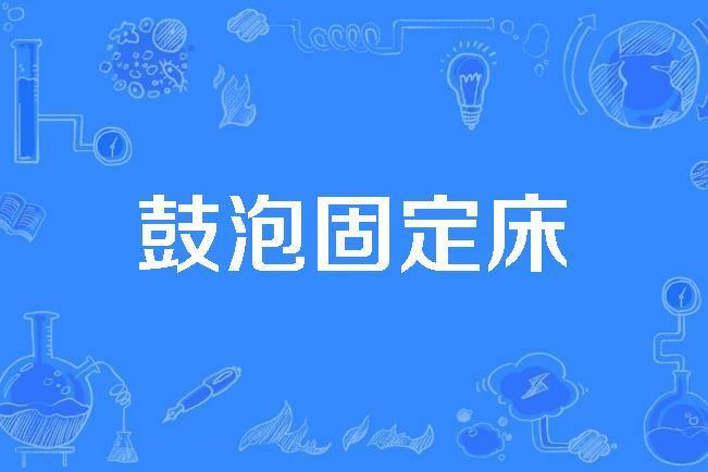 鼓泡固定床 鼓泡固定床
