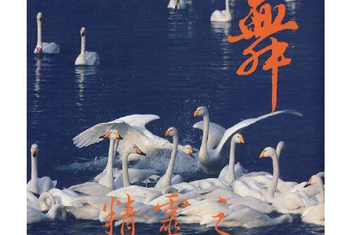 精靈之舞(2009年中國商業出版社出版的圖書) 精靈之舞(2009年中國商業出版社出版的圖書)