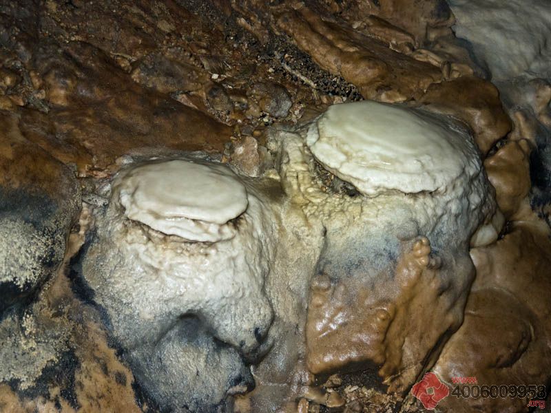 石蘑菇