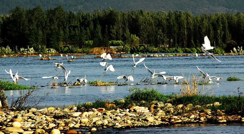 丹江濕地國家級自然保護區