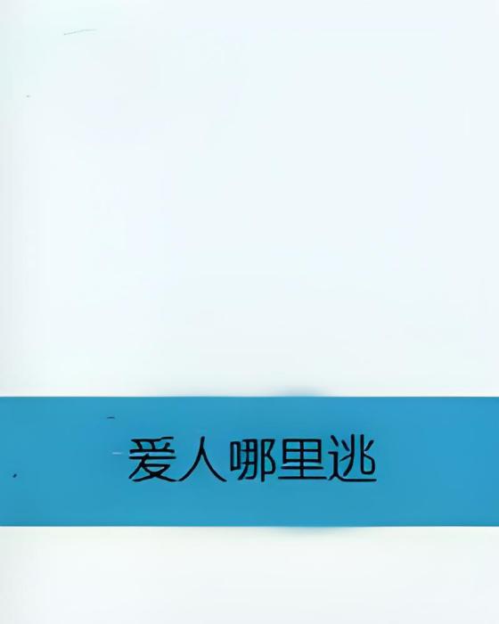 愛人哪裡逃 愛人哪裡逃