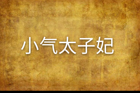 小氣太子妃