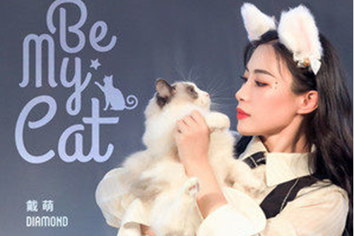 Be My Cat Be My Cat