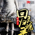 靈魂回歸錄 靈魂回歸錄