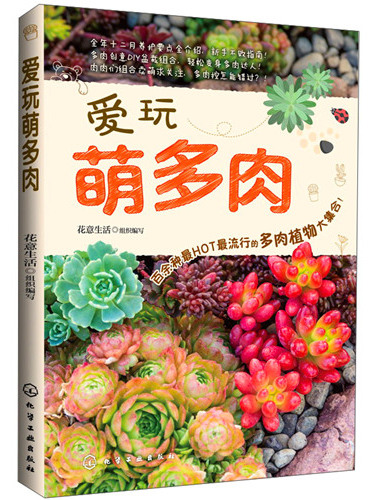 愛玩萌多肉 愛玩萌多肉