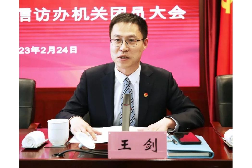 王劍(上海市市級機關團工委書記) 王劍(上海市市級機關團工委書記)