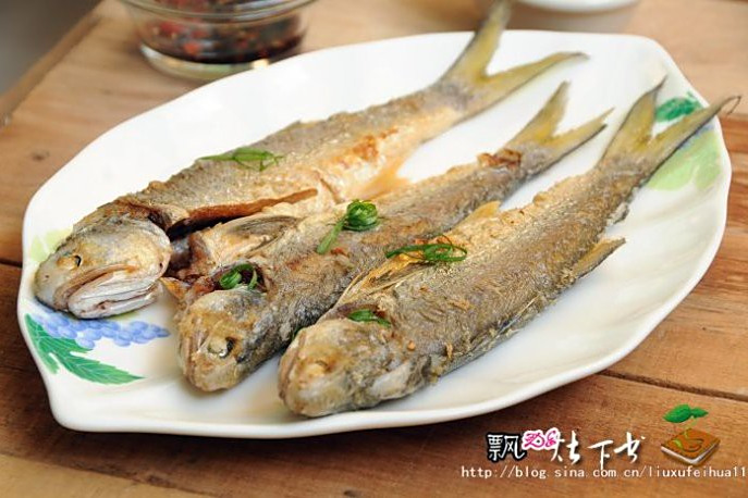 乾煎馬友 乾煎馬友