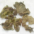 雞冠花(中藥) 雞冠花(中藥)