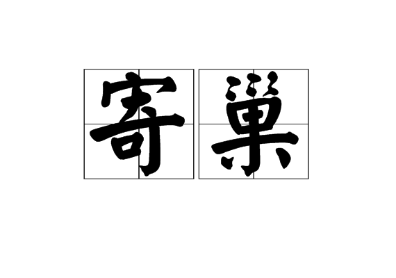 寄巢 寄巢