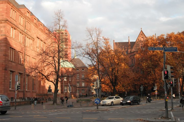 2011年深秋，弗萊堡大學秋色。