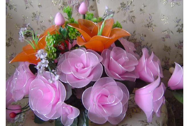 絲襪花(東籬花) 絲襪花(東籬花)