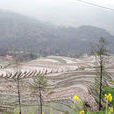 平等鄉(四川省峨邊縣下轄鄉)