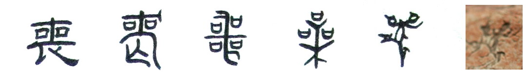 隸書--小篆--金文--甲骨文--骨刻文