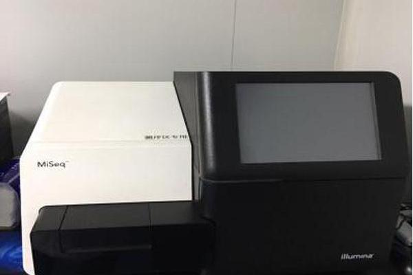 測序系統 測序系統