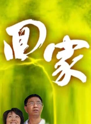 楊紫 楊紫