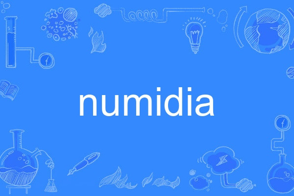 numidia numidia