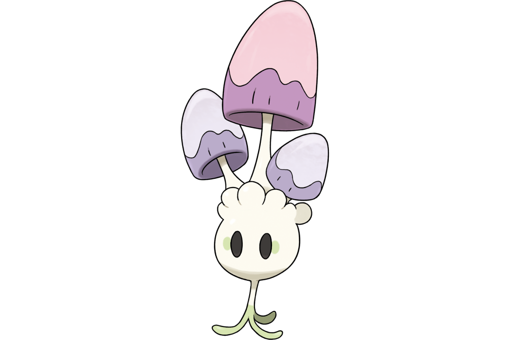 睡睡菇 睡睡菇