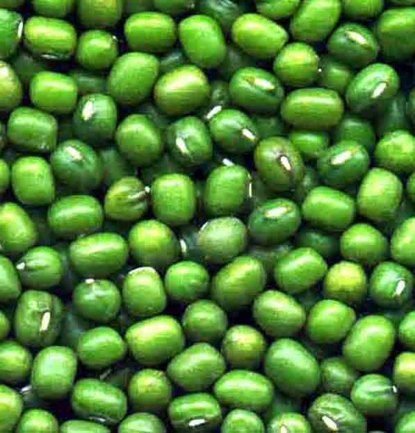 綠豆