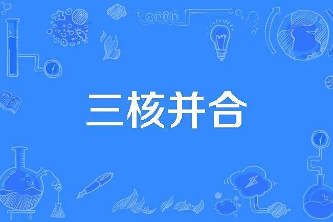 三核併合