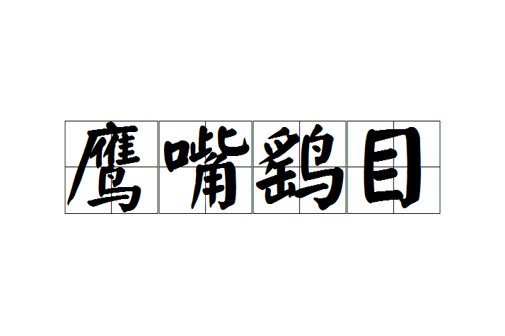 鷹嘴鷂目 鷹嘴鷂目