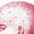 Brain project Brain project
