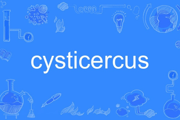 cysticercus cysticercus