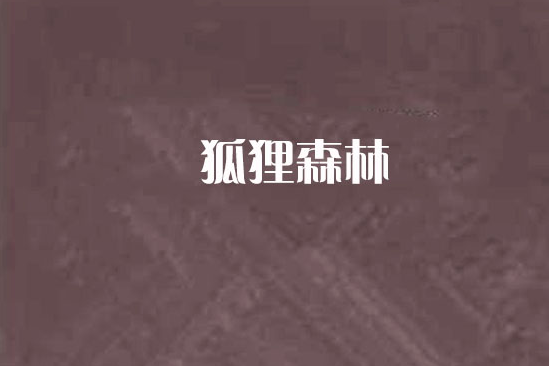 狐狸森林 狐狸森林