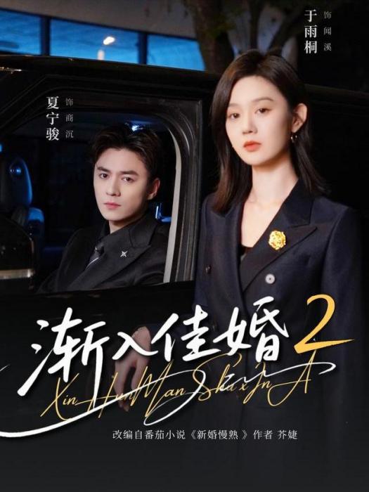 漸入佳婚2 漸入佳婚2