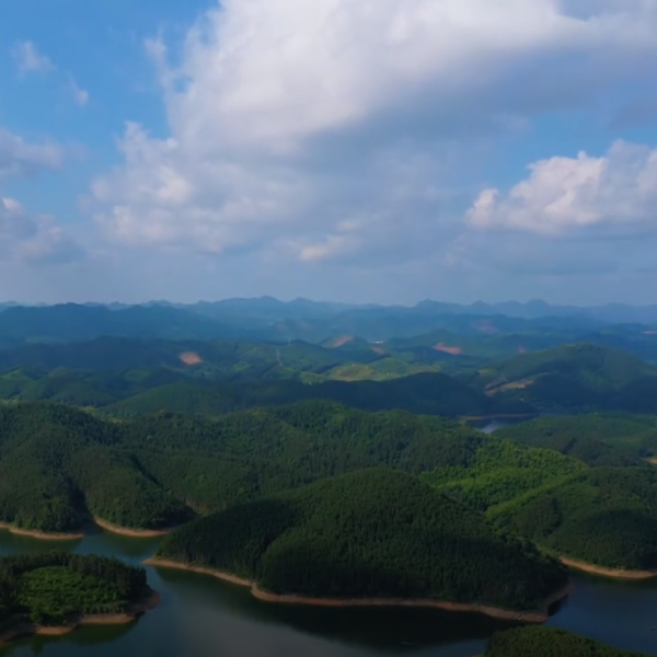 西坑水庫