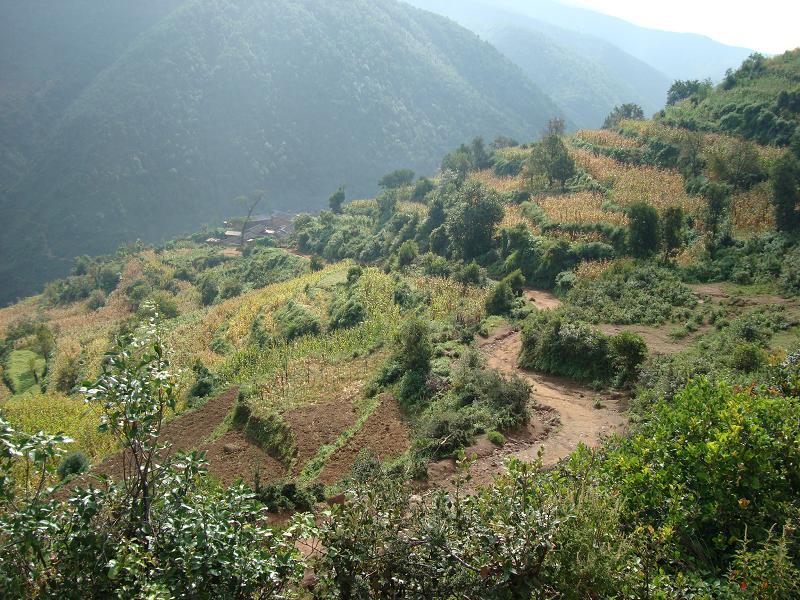 一丘田村 一丘田村