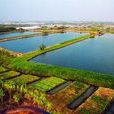 六沙村 六沙村