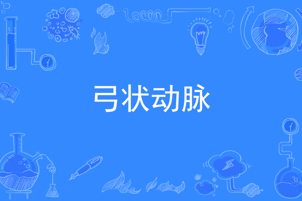 弓狀動脈 弓狀動脈