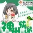 神州快遞 神州快遞