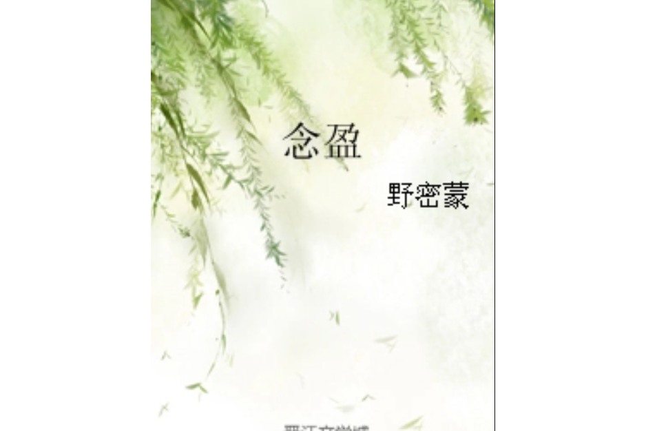 念盈 念盈