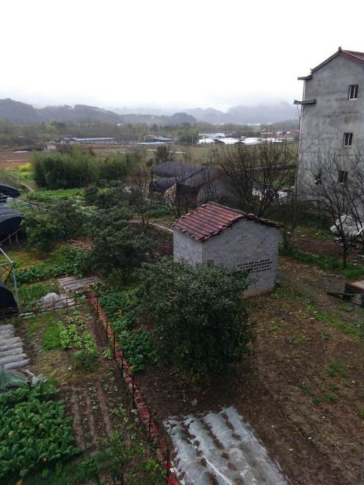 垟頭村(浙江省溫州市瑞安市塘下鎮下轄村) 垟頭村(浙江省溫州市瑞安市塘下鎮下轄村)