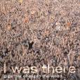 I Was There(2005年Cassell Illustrated出版的圖書) I Was There(2005年Cassell Illustrated出版的圖書)