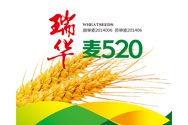 瑞華麥520 瑞華麥520
