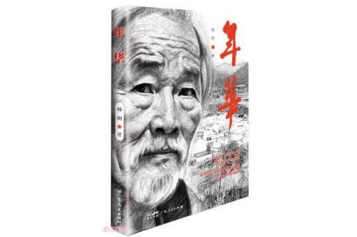 年華(2023年廣東人民出版社出版的圖書) 年華(2023年廣東人民出版社出版的圖書)