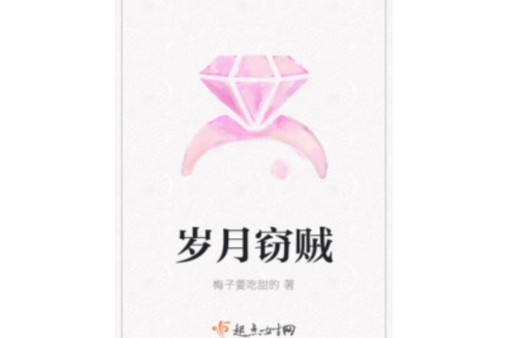 歲月竊賊 歲月竊賊