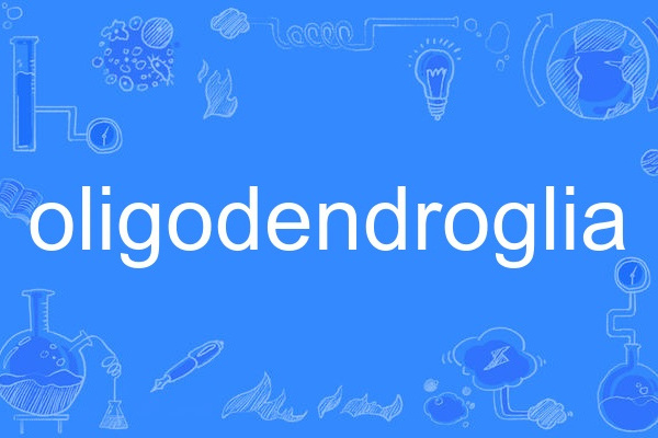 oligodendroglia oligodendroglia