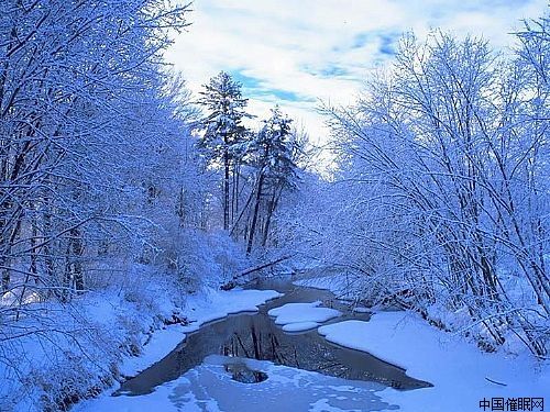 雪的夢幻 雪的夢幻