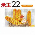 承玉22(吉審玉2009008) 承玉22(吉審玉2009008)