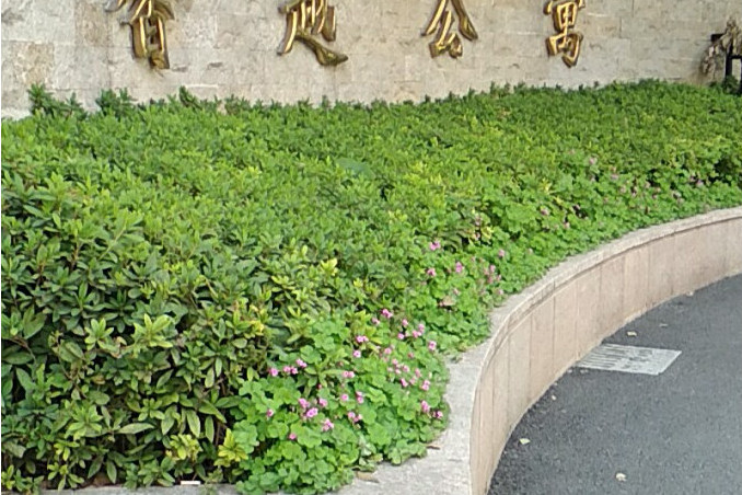 馨越公寓 馨越公寓