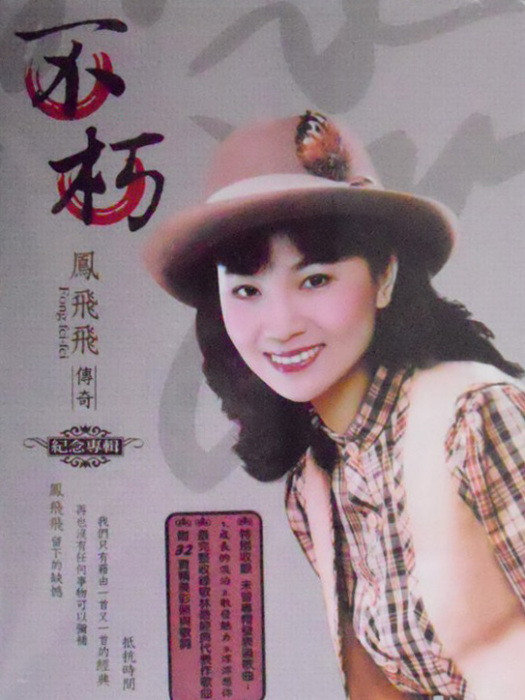 歸鄉列車(台灣歌手鳳飛飛演唱) 歸鄉列車(台灣歌手鳳飛飛演唱)