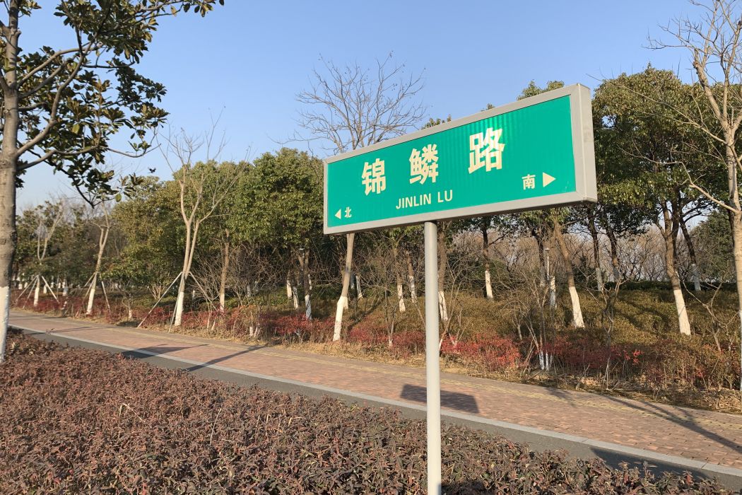錦鱗路 錦鱗路