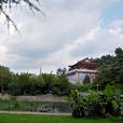 白雲公園 白雲公園
