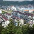 大塘坑村 大塘坑村