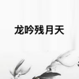 龍吟殘月天 龍吟殘月天